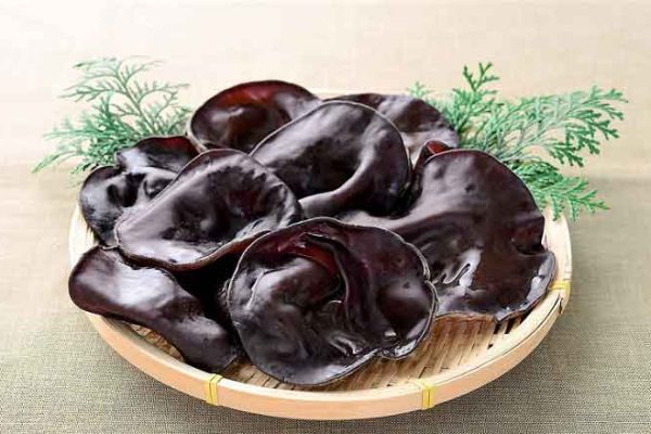 元気な黒の生きくらげ『極み』